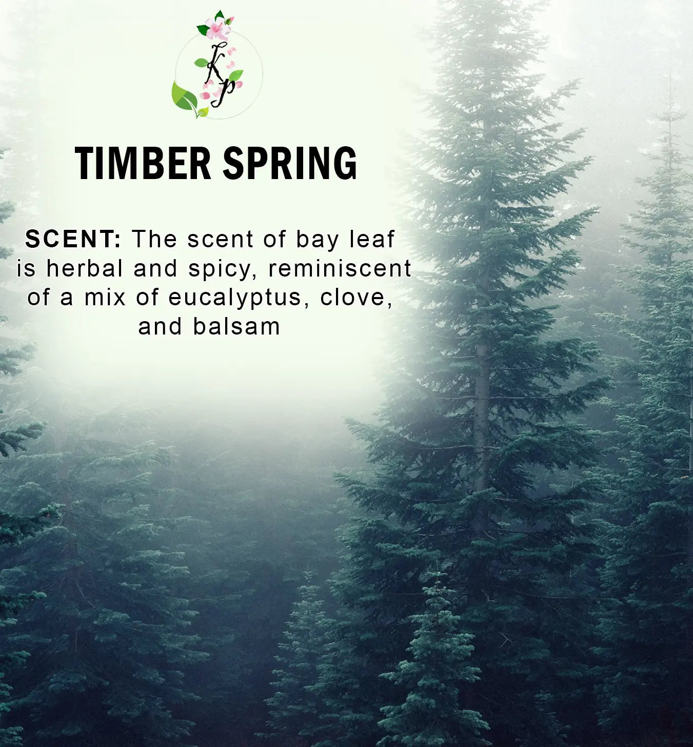 Timber Spring Body Lotion | Organic Body Cream | Shea Butter Lotion | Scented Lotion | Almond Body Lotion